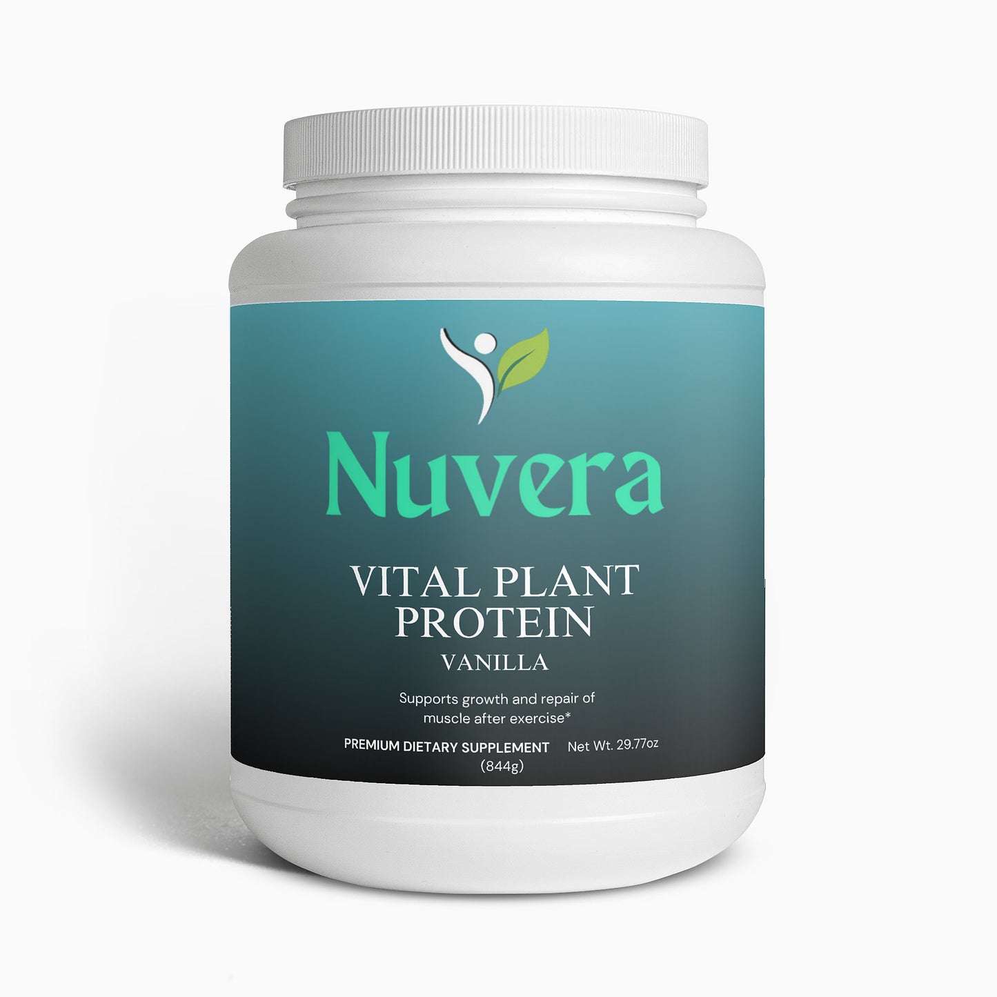 Plant Protein (Vanilla)