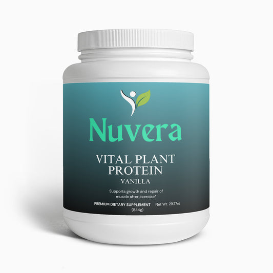 Plant Protein (Vanilla)