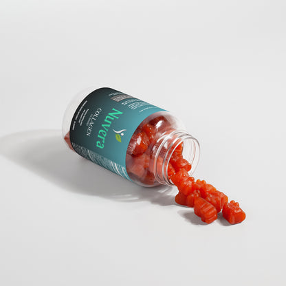 Collagen Gummies (Adult)